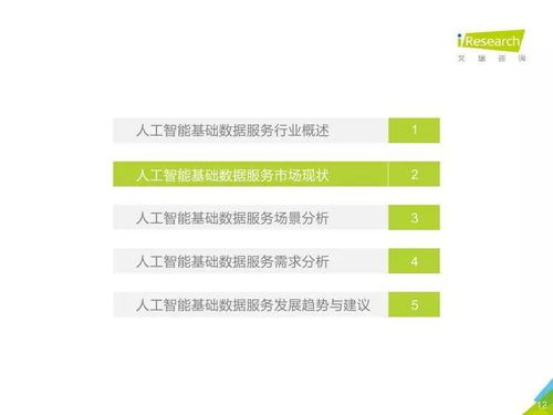中國人工智能基礎數據服務行業報告——聚焦人工智能基礎軟件開發